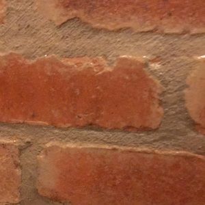 Meet your Posher, Petrina